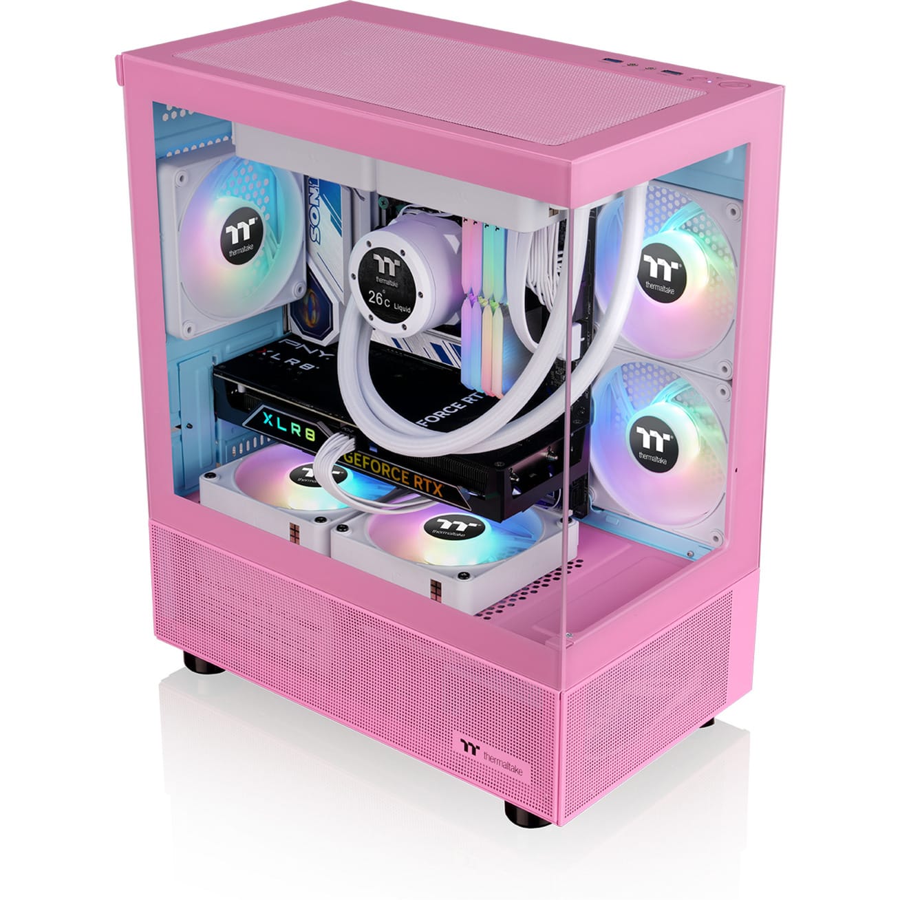 Pink Lady - AMD